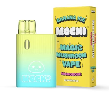 Mocha Mushroom Vape, Mocha Vapes, Mochi Mushroom Vape Review,Mochi Vapes, Mocha Mushroom Vape Disposable